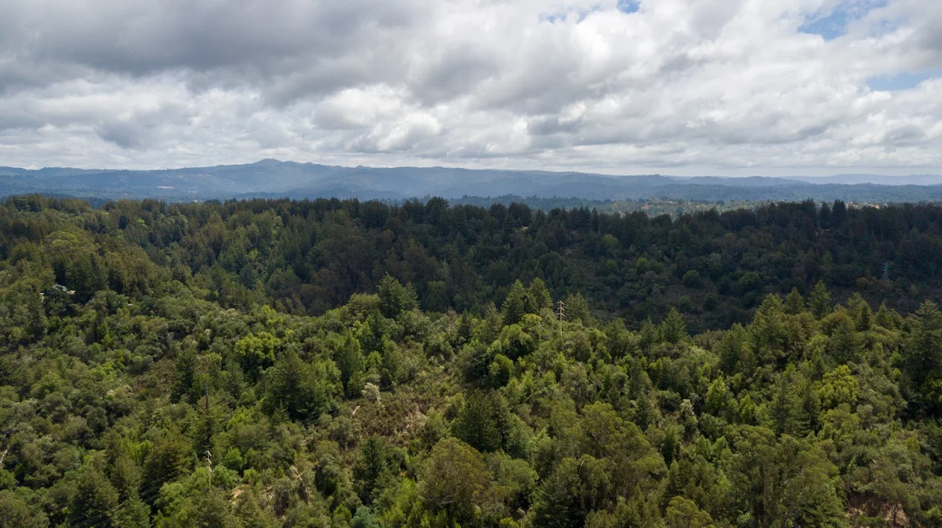 Expansive forest and distant hills beneath a cloudy sky