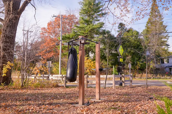 Outdoor punching bag in yard with trees