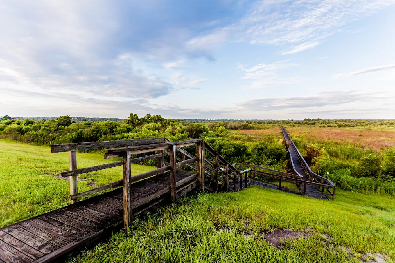 Wooden boardwalk extending through wetlands