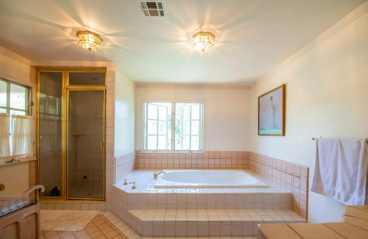 Bathroom with soaking tub and walk-in shower